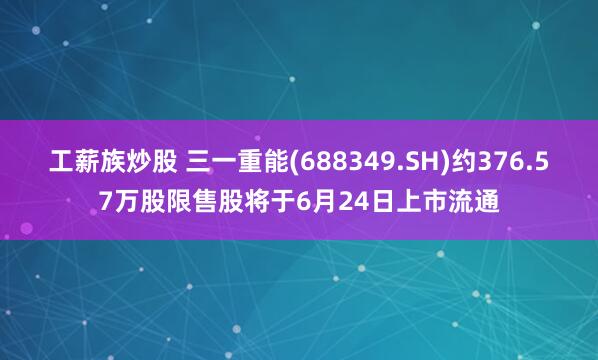 工薪族炒股 三一重能(688349.SH)约376.57万股限售股将于6月24日上市流通