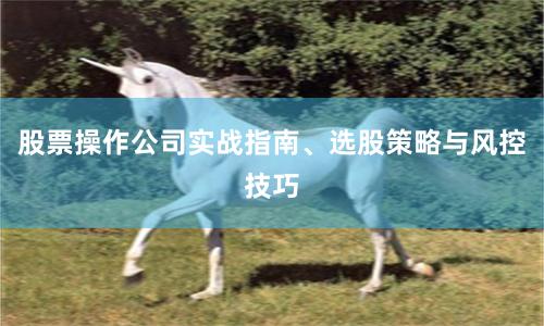 股票操作公司实战指南、选股策略与风控技巧