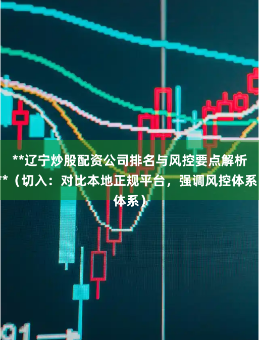 **辽宁炒股配资公司排名与风控要点解析**（切入：对比本地正规平台，强调风控体系）