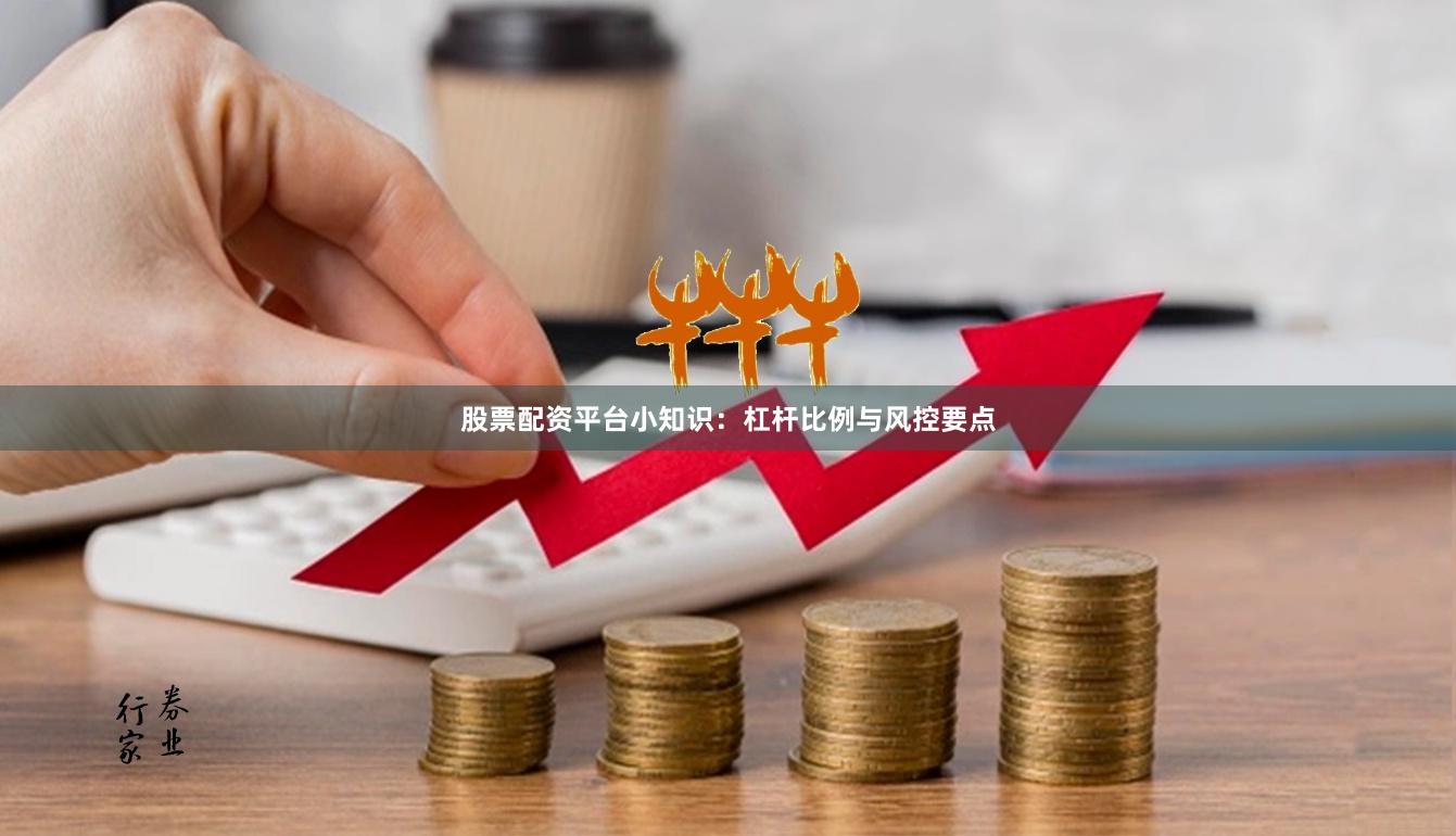 股票配资平台小知识：杠杆比例与风控要点